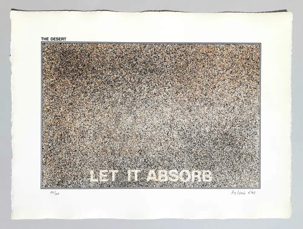 Serigrafía Dias - The desert - Let it absorb