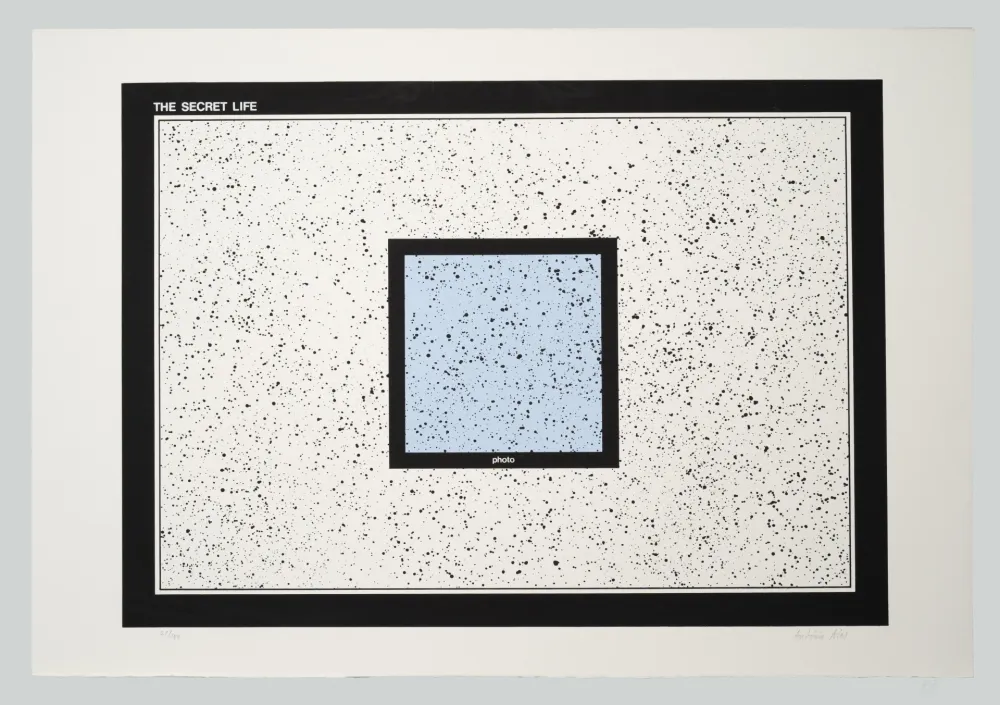 Serigrafía Dias - The secret life