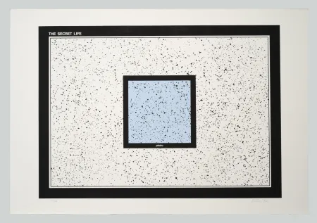 Serigrafía Dias - The secret life