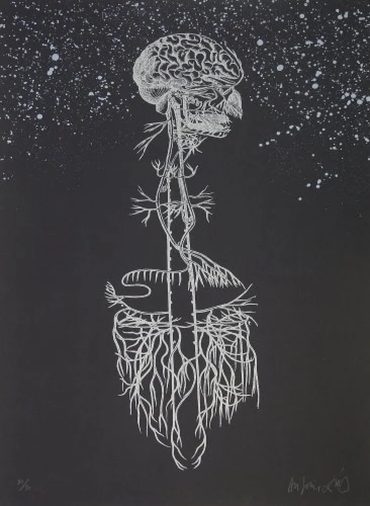 Litografía Diaz - Navegador