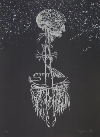 Litografía Diaz - Navegador