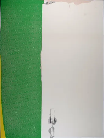 Serigrafía Dine - Calico