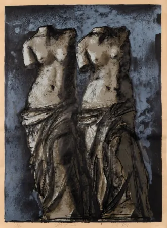 Múltiple Dine - Double Venus in sky at night