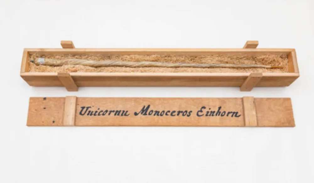 Múltiple Dion - My Most Priceless Treasure (unicorn)