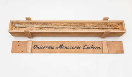 Múltiple Dion - My Most Priceless Treasure (unicorn)