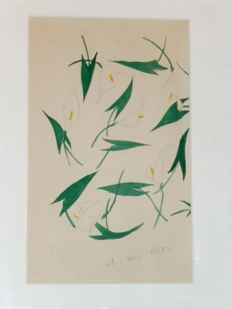 Sin Técnico Dior - Les arums