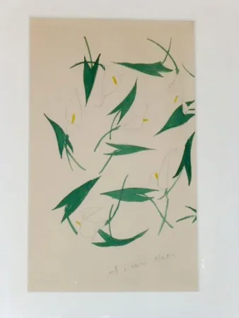 Sin Técnico Dior - Les arums