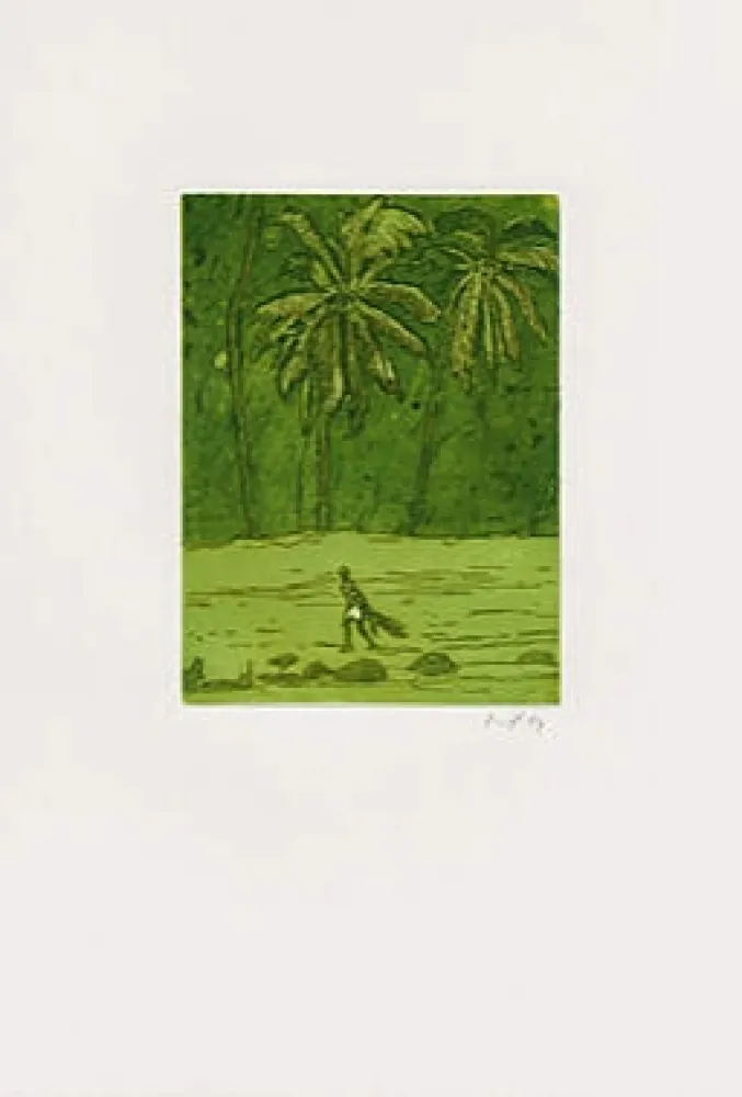 Aguafuerte Y Aguatinta Doig - Pelican