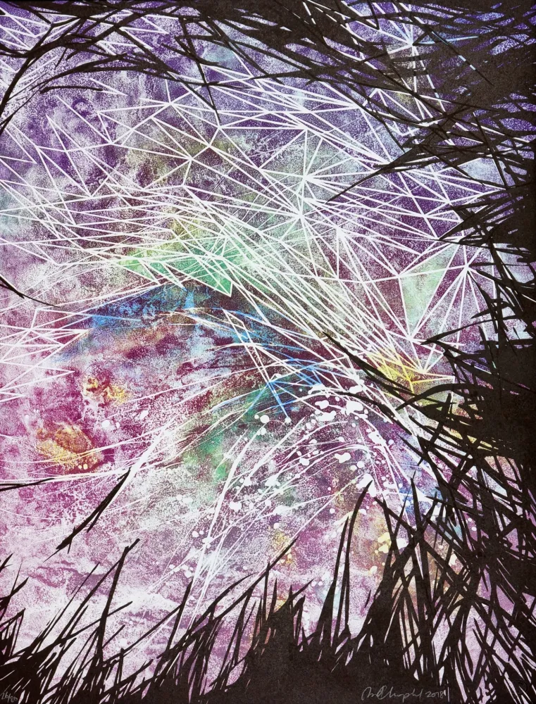 Litografía Dolma - Upside Down