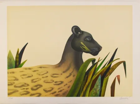 Litografía Donadini - Wildcat