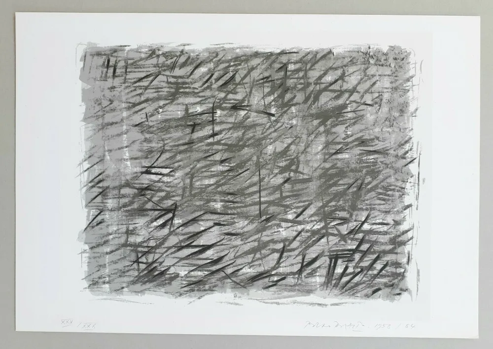 Serigrafía Dorazio - Disegno