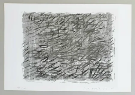 Serigrafía Dorazio - Disegno