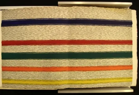 Libro Ilustrado Dorazio - New Jersey