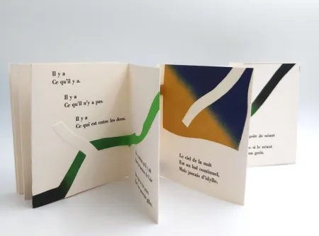 Libro Ilustrado Dorny - AGUETS