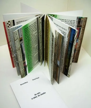 Libro Ilustrado Dorny - Des mots, et meme, des mouches 