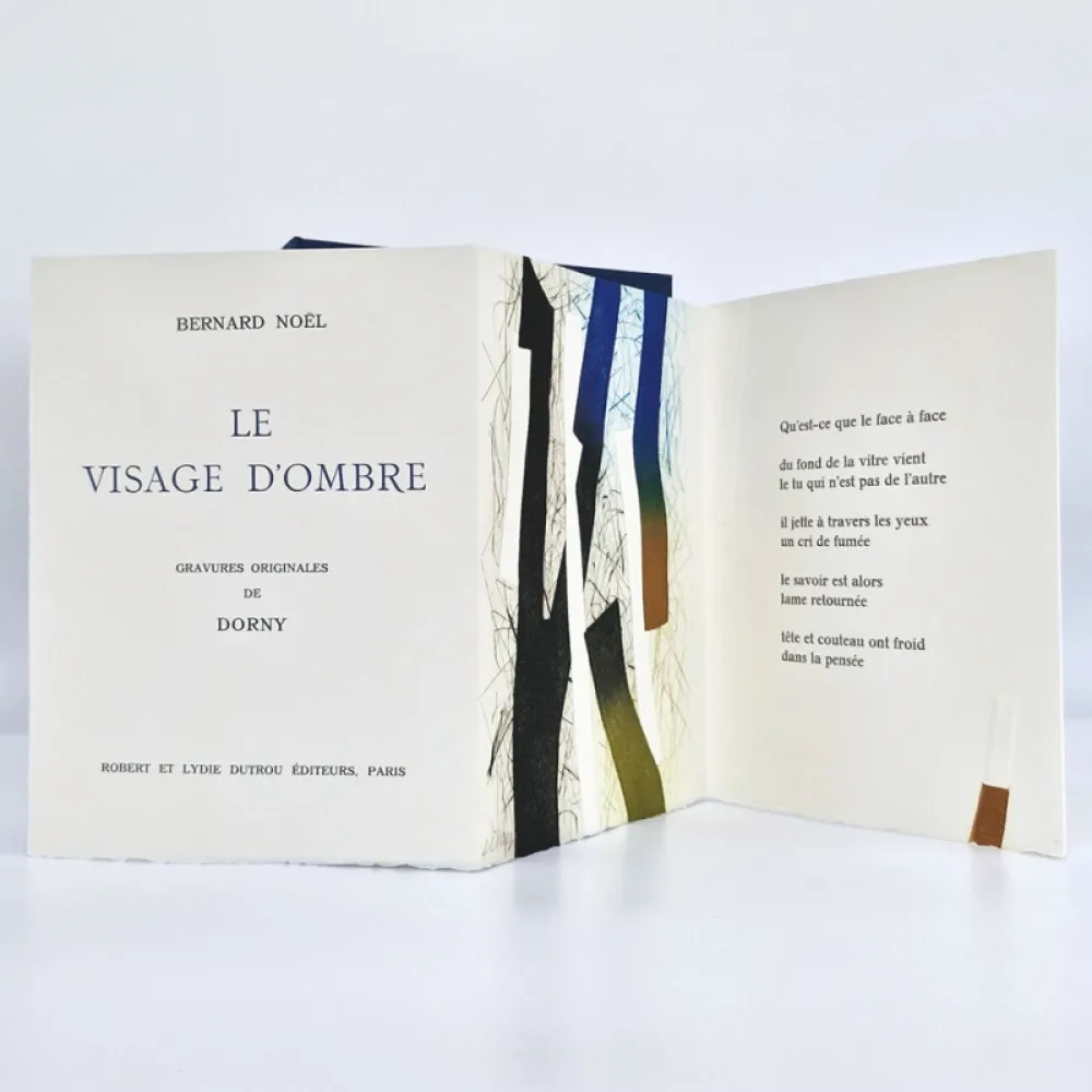 Libro Ilustrado Dorny - Le visage d'ombre