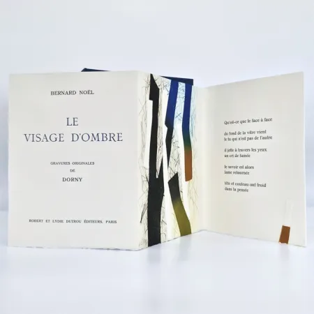 Libro Ilustrado Dorny - Le visage d'ombre