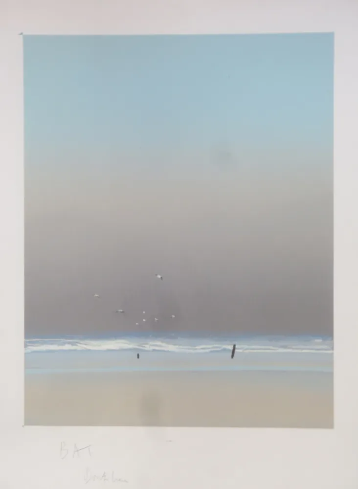 Litografía Doutreleau - Les mouettes