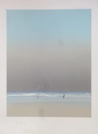 Litografía Doutreleau - Les mouettes