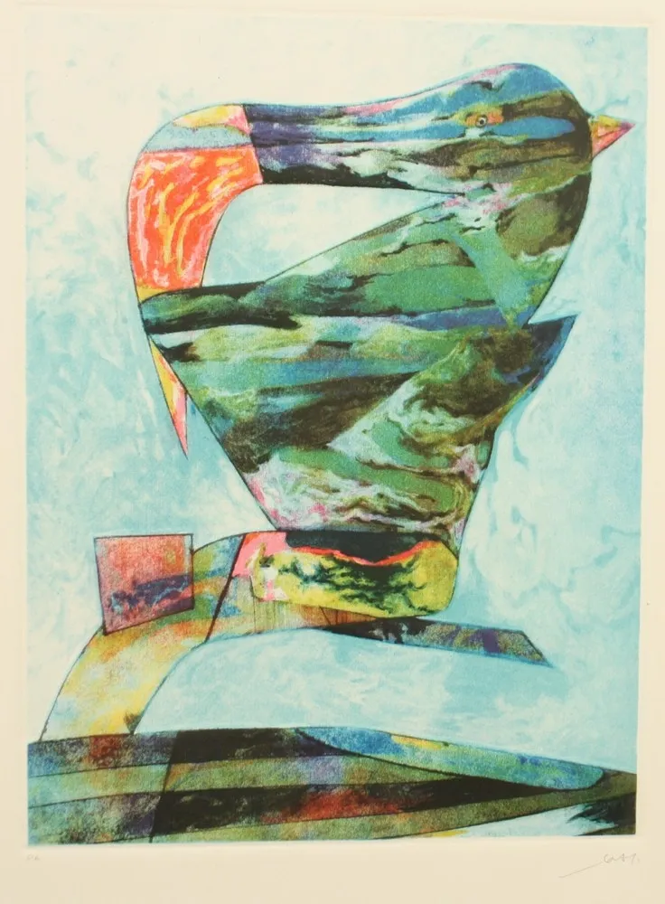 Aguafuerte Y Aguatinta Dova  - UCCELLO DI BRETAGNA