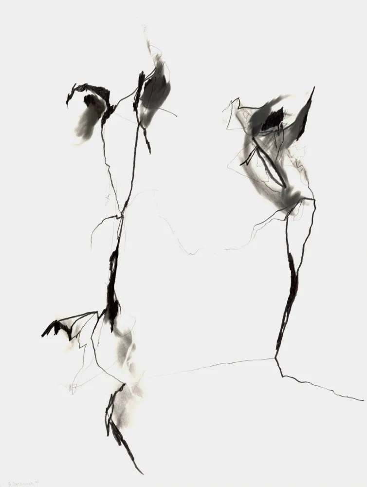 Sin Técnico Drehbusch - Belangloskeiten / Irrelevancies