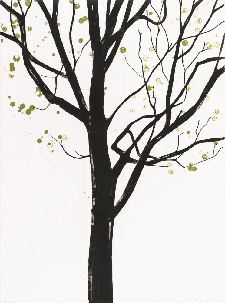 Litografía Drummond - Cathedral