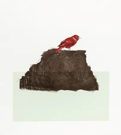 Litografía Drummond - The Northern Cardinal (or Redbird)