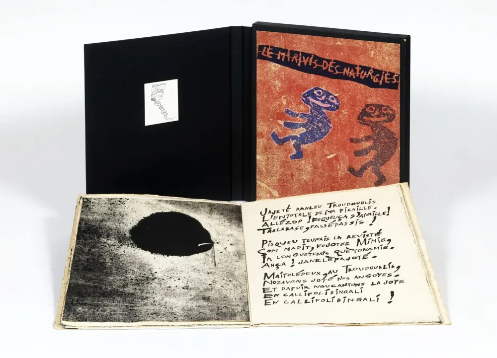 Libro Ilustrado Dubuffet - LE MIRIVIS DES NATURGIES. 16 lithographies originales (1962-1963). L'exemplaire d'ARMAN.