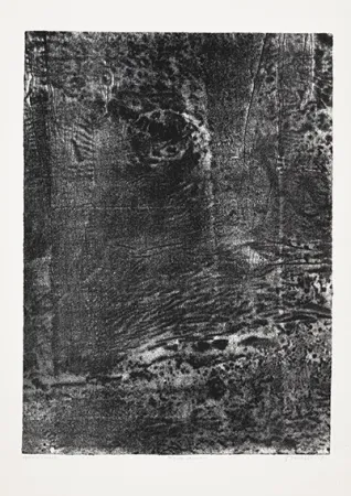 Litografía Dubuffet - Paysage japonais