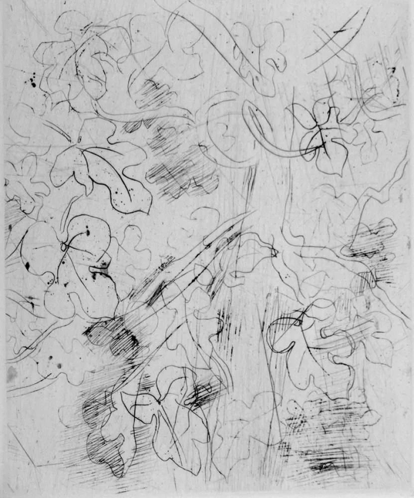 Aguafuerte Dufy - Figuier