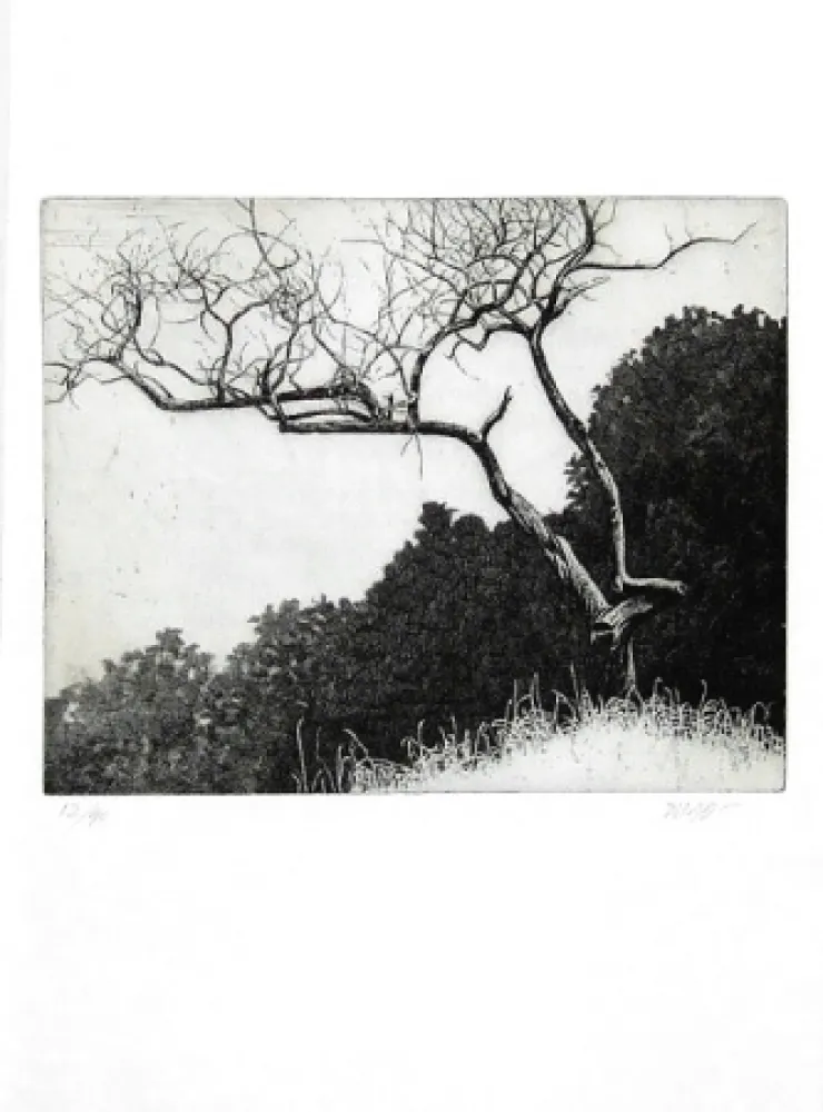 Libro Ilustrado Dugo - Poco prima del temporale