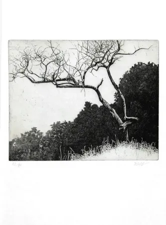 Libro Ilustrado Dugo - Poco prima del temporale