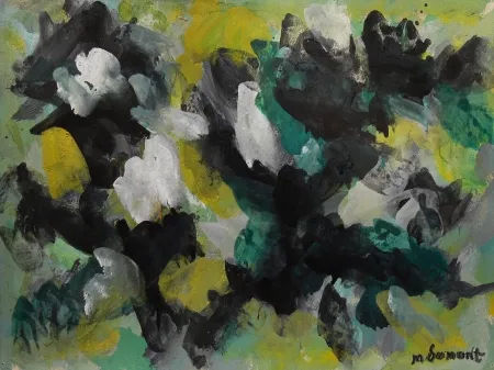 Sin Técnico Dumont - LE VERCORS / THE VERCORS