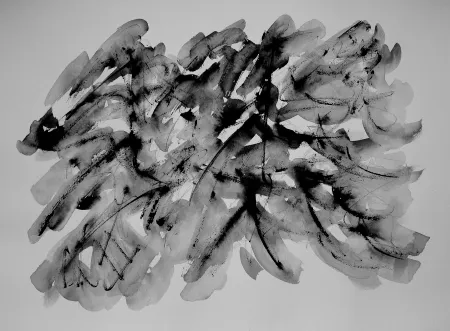 Sin Técnico Dumont - LE VERCORS / THE VERCORS