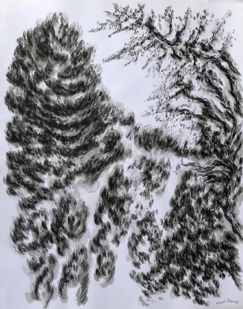 Sin Técnico Dumont - LES / THE ALPILLES