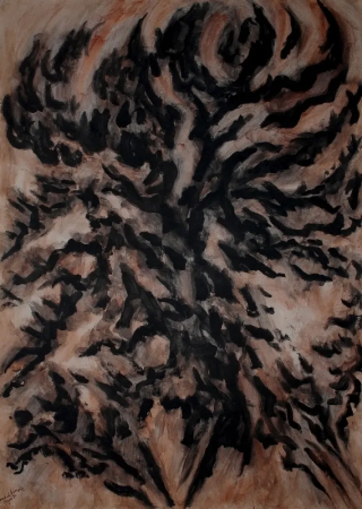 Sin Técnico Dumont - LES / THE ALPILLES