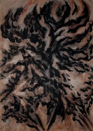 Sin Técnico Dumont - LES / THE ALPILLES