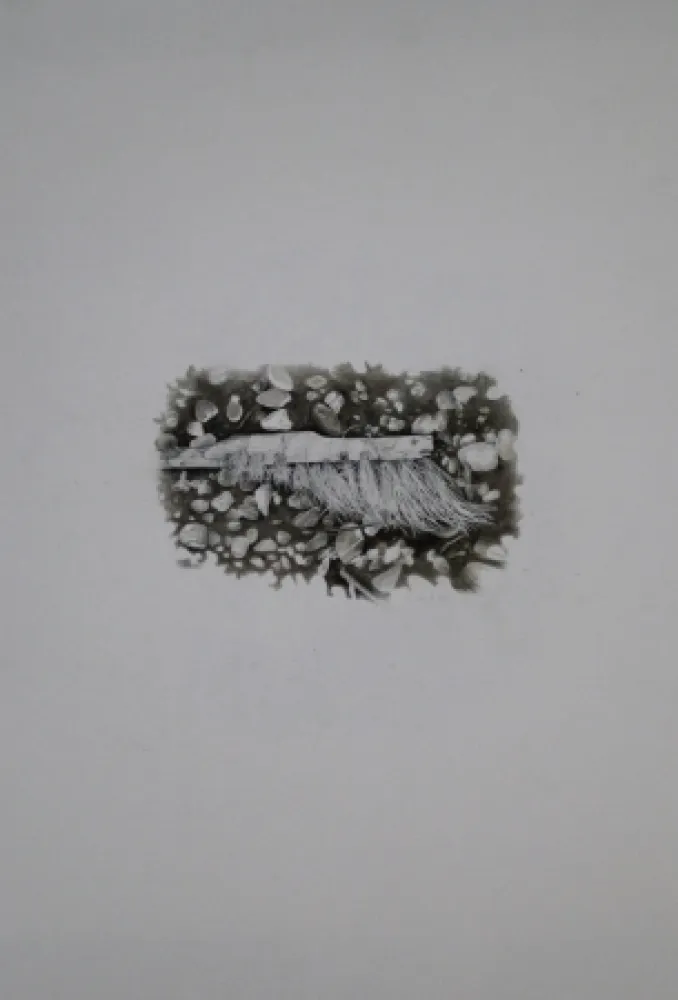 Sin Técnico Ebert - Besen