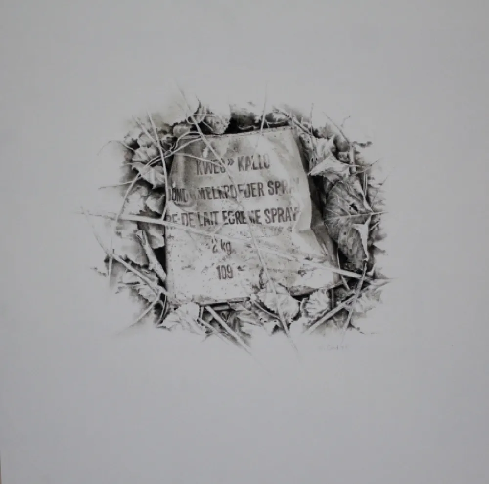 Sin Técnico Ebert - Komposition mit Efeu