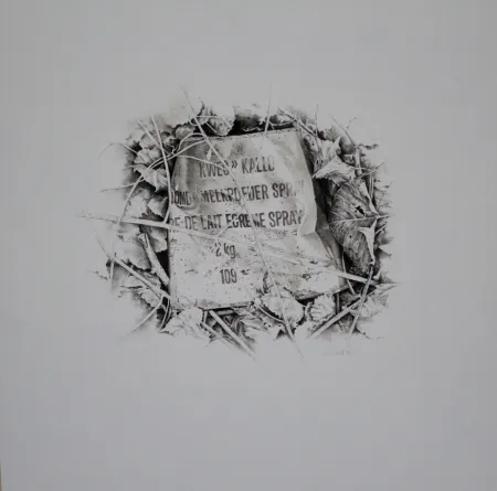 Sin Técnico Ebert - Komposition mit Efeu