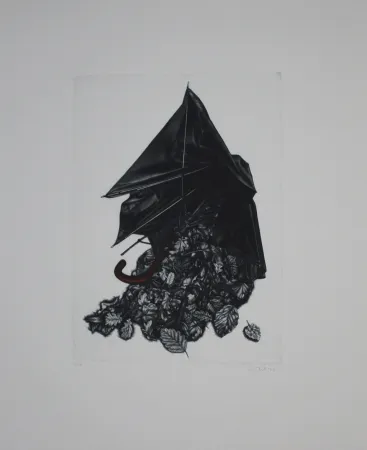 Manera Negra Ebert - Schirm und Blättern