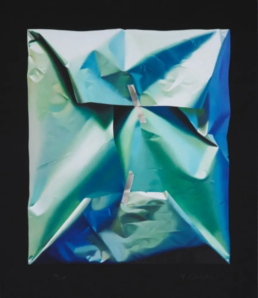 Estampa Numérica Edelmann - The visual Pathway to Green