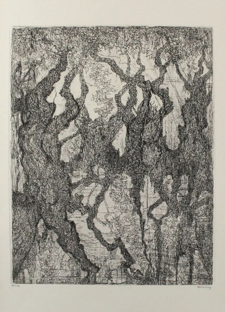 Aguafuerte Eliasberg - Die Platanen des Pelion