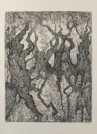 Aguafuerte Eliasberg - Die Platanen des Pelion