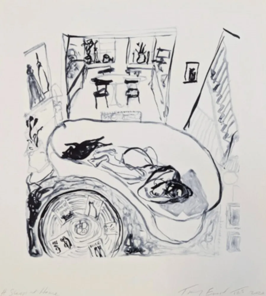 Litografía Emin - A Sleep at Home