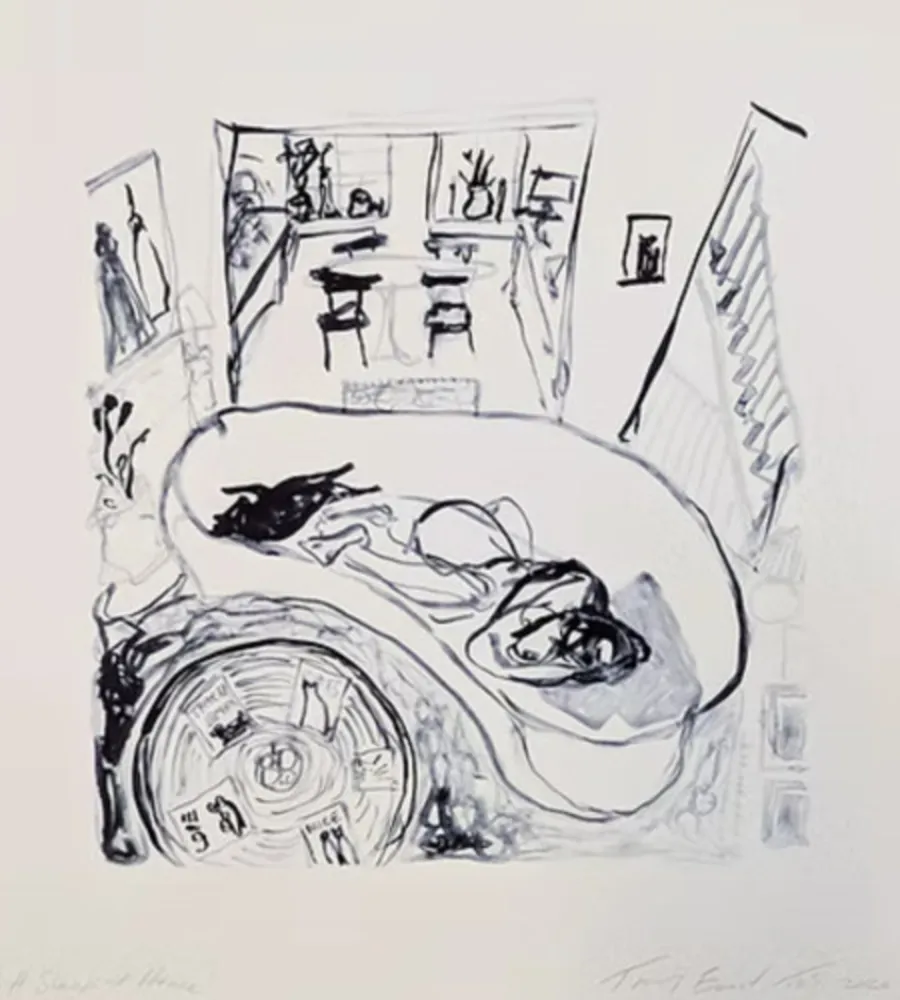 Litografía Emin - A Sleep at Home