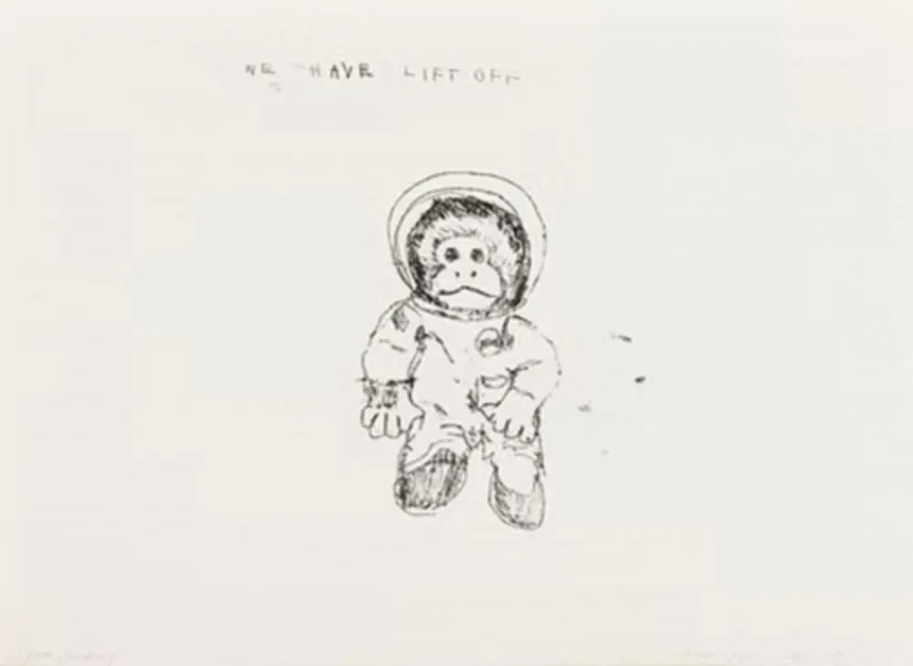 Múltiple Emin - Space Monkey