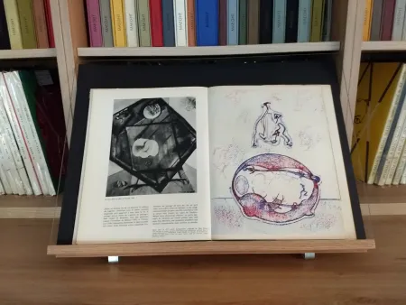 Libro Ilustrado Ernst - Hommage