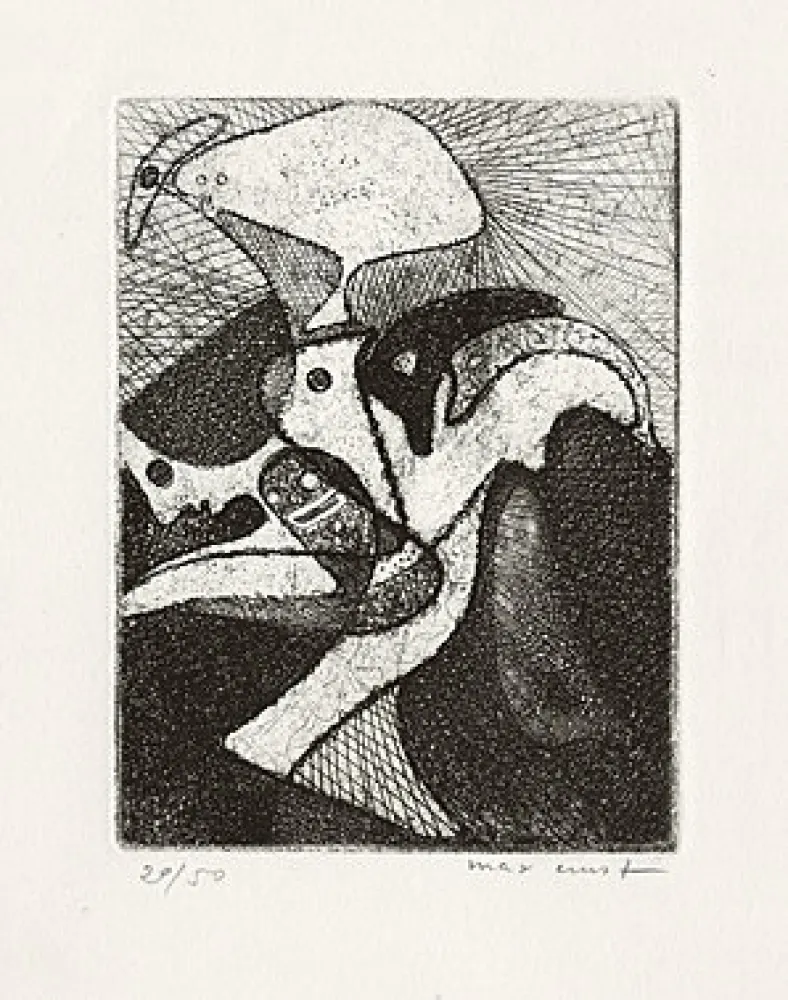 Libro Ilustrado Ernst - 