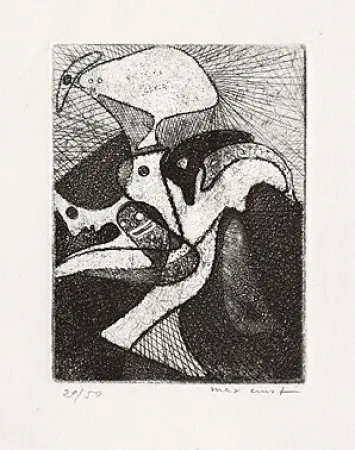 Libro Ilustrado Ernst - 